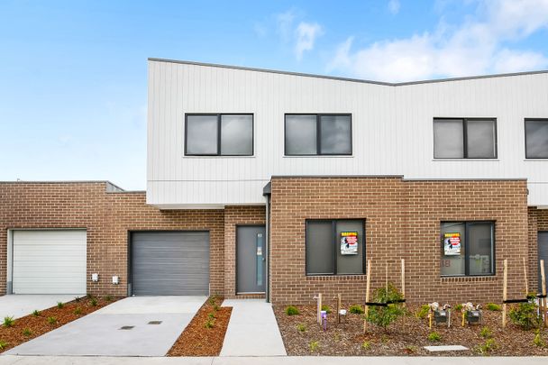 38 Cinnamon Drive, Cranbourne East VIC 3977 - Townhouse For Rent | Domain - Photo 1