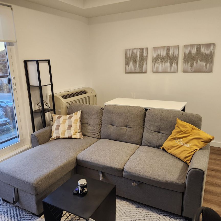 Sole Rutland Furnished 1 Bed 1 Bath - Photo 1