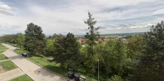 Pronájem, Byt 1+1+L, OV, 40 m - Fotografie 2