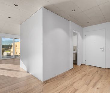 Erstvermietung: Grosse Flächen, wohnen mit viel Raum - Photo 2