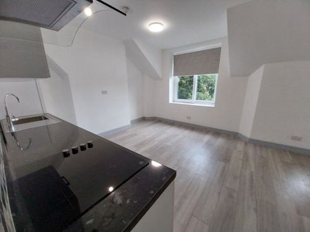 Neville Street, CARDIFF - Photo 4