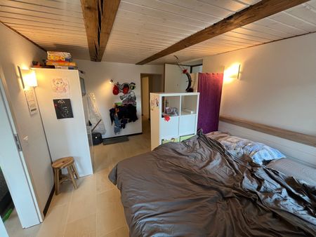 2.5 Zimmer, 50 m², 1. Stock - Photo 5