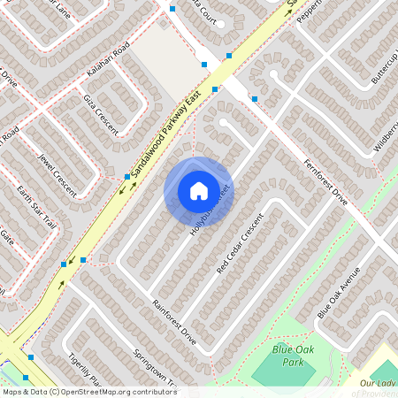 29 hollybush Street, Brampton