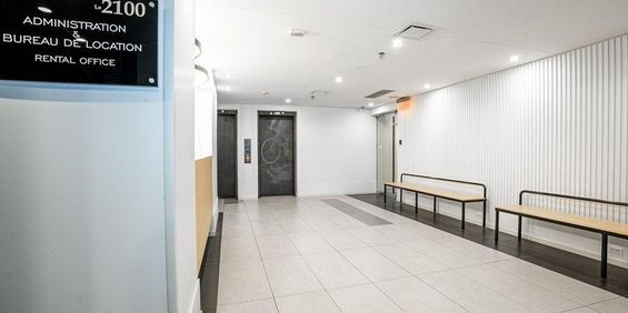 Studio - 2100 Boulevard De Maisonneuve West, Montréal - Photo 3