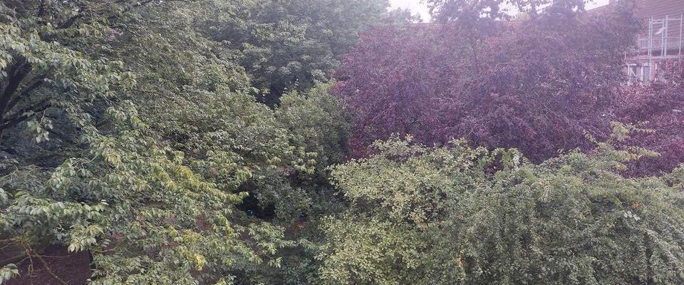 3 ZKB möbilliert beste Auteilung Aussicht Lage - Photo 1