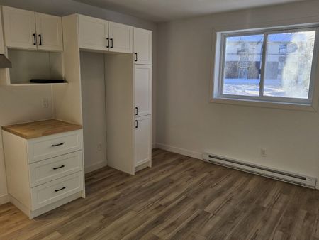 650#7 Côte-Richelieu, Trois-Rivières - Photo 4