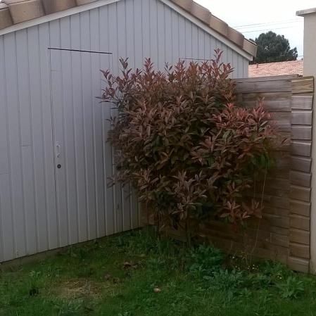 Location Maison 3 pièces 74m² VAYRES 33870 - Photo 4