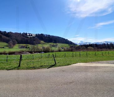 2.5 Zimmer - Photo 4