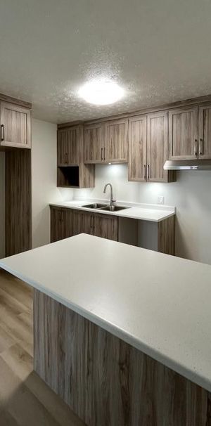 Beau grand 5 1/2 entièrement rénové - Photo 1