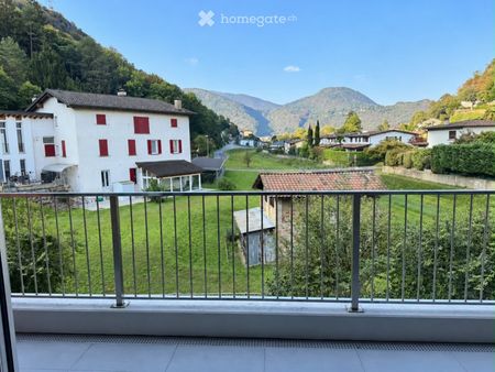 Figino/Barbengo Cerco subentrante per 3,5 locali - Foto 4