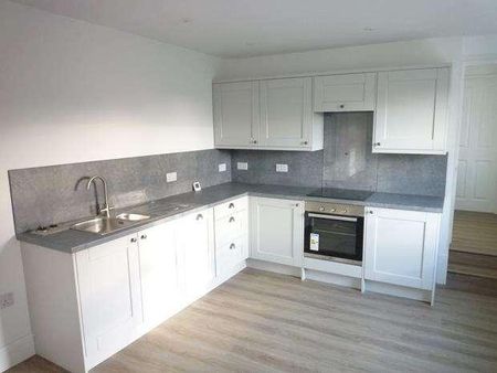 Broadwoodwidger, Lifton, PL16 - Photo 4