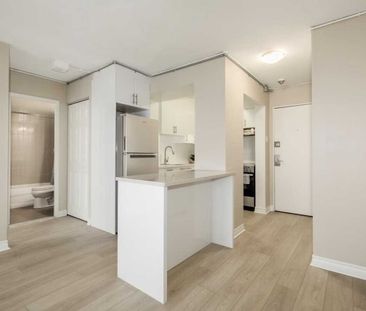 1101 Rue Rachel Est condo — Montréal, QC (1-Bedroom) - 1 Bedroom - Photo 2