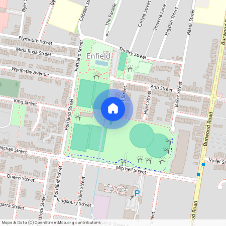 15 Short Street, Enfield NSW 2136