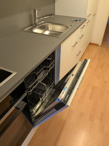 3.5 Zimmer, EG - Photo 5