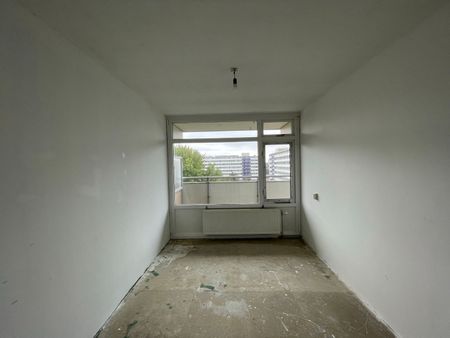 Rosmolen 59, Molenwijk, 1035CC, Amsterdam - Photo 3