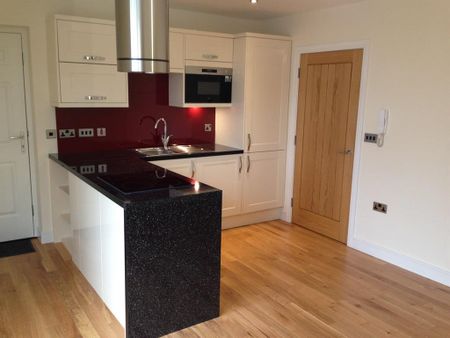 Blenheim Road - Photo 4