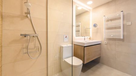1-bedroom apartment for rent in Estrella, Madrid - Photo 5