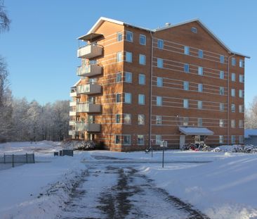 Plogvägen 105 - Photo 6