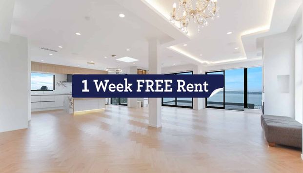 Designer 5 Bedroom Home Hillsborough - Photo 1