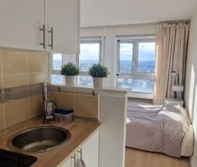 Appartement 1 Pièce 34 m² - Photo 6