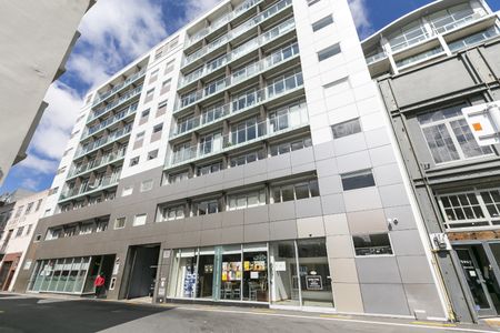Te Aro Living! - Photo 3