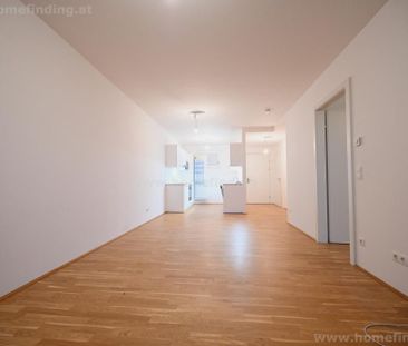 südseitige Gartenwohnung, 2 Zimmer, Garage möglich I befristet - Foto 1