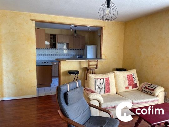 HAUT de BILLERE - T2 meublé - Photo 1