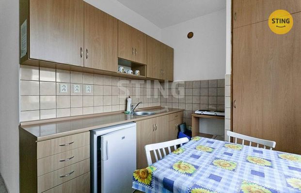 Pronájem bytu 3+1 20 m² - Photo 1