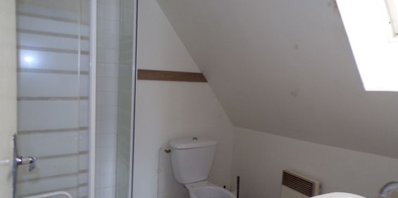 Location Appartement 1 pièce 17m² SABLE SUR SARTHE 72300 - Photo 3