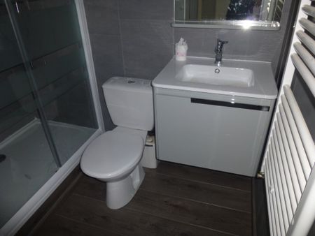 APPARTEMENT T2 A LOUER - Photo 4