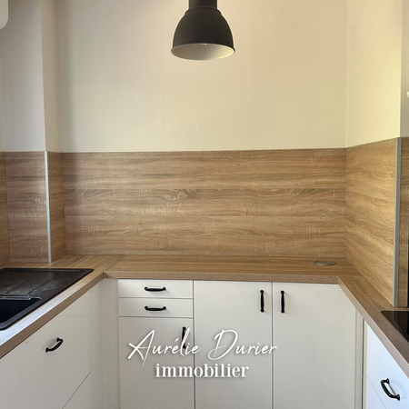 Location Appartement 1 pièce 29m² TOURS 37000 - Photo 3