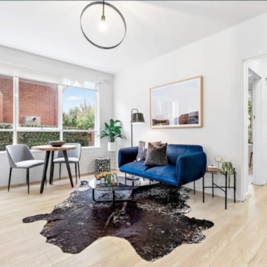 Bright and ready to go! - Photo 1