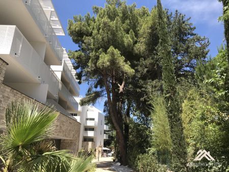 Location Appartement 1 pièce 28m² MONTPELLIER 34000 - Photo 3