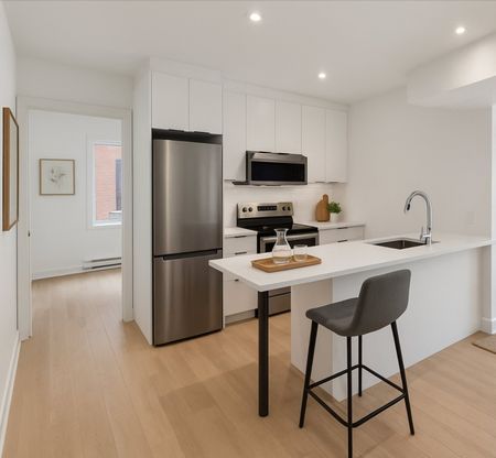 Appartement à louer - Montréal (Mercier/Hochelaga-Maisonneuve) (Hochelaga-Maisonneuve) - Photo 4