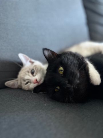 Bowen Hills - Photo 5