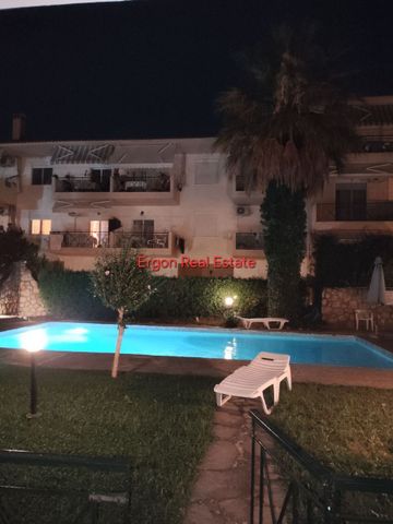Διαμέρισμα για ενοικίαση Καλλιθέα (Κασσάνδρα) - Φωτογραφία 5
