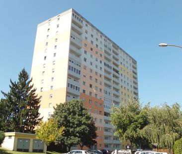 8020 Graz - Vinzenz-Muchitsch-Straße 6A/67 - Foto 1