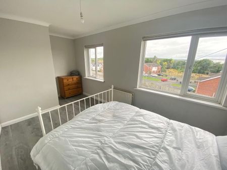 96 Stream Street, Downpatrick, BT30 6DF - Photo 3