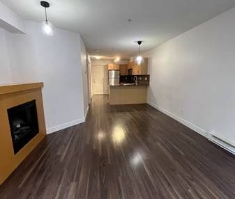 Spacious 1 bedroom 1 bathroom - Walnut Grove/Carvolth - Photo 2