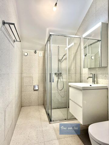 Superb renovated duplex with stunning views in Grandvaux - Photo 4