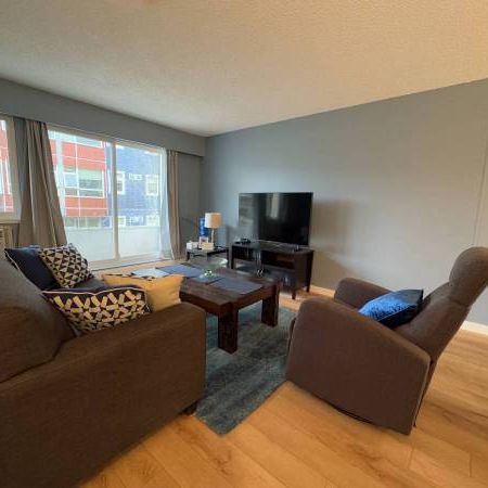 Renovated "Canuck Plaza" Apartment in Central Maple Ridge! Cat okay! - Photo 3