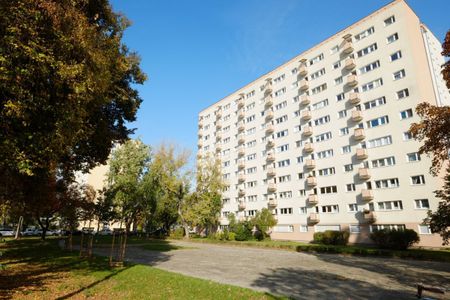 Wola, Młynów, 2 pok, Rondo Daszyńskiego - 12min 41.43 m² - Photo 3