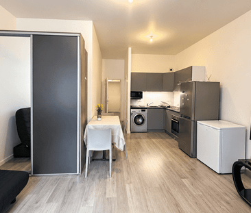 1 pièce - Meublé - 29,6 m² - RDC - Colocation non autorisée - Photo 2
