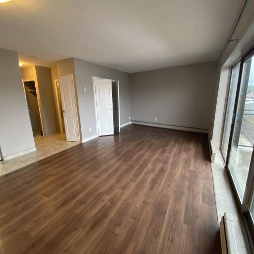 apartments at 1720 Paris Street - Photo 1