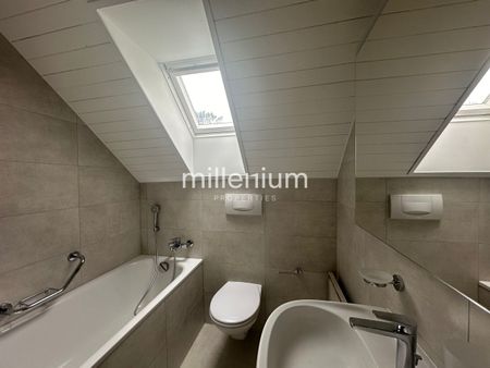 Duplex en attique rénové dans le vieux Carouge - Photo 3