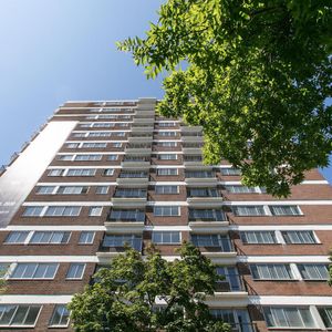 Le Plateau - 3605 St-Urbain - Studio - 3605 Rue Saint-Urbain, Montréal - Photo 2