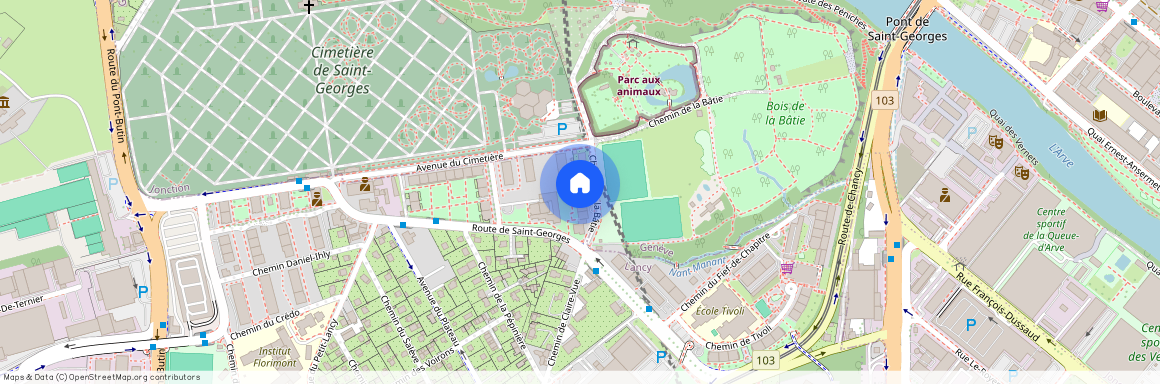 Chemin de la Bâtie 7, 1213, Petit-Lancy