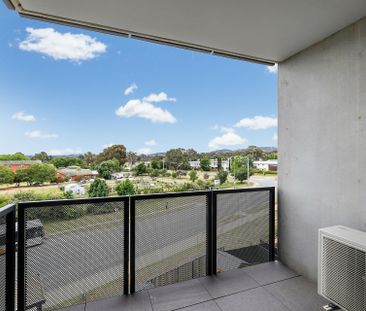 1 Bedroom Plus Study - Photo 4