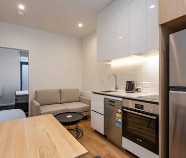 Near new, Fully furnished central Wellington - Photo 2