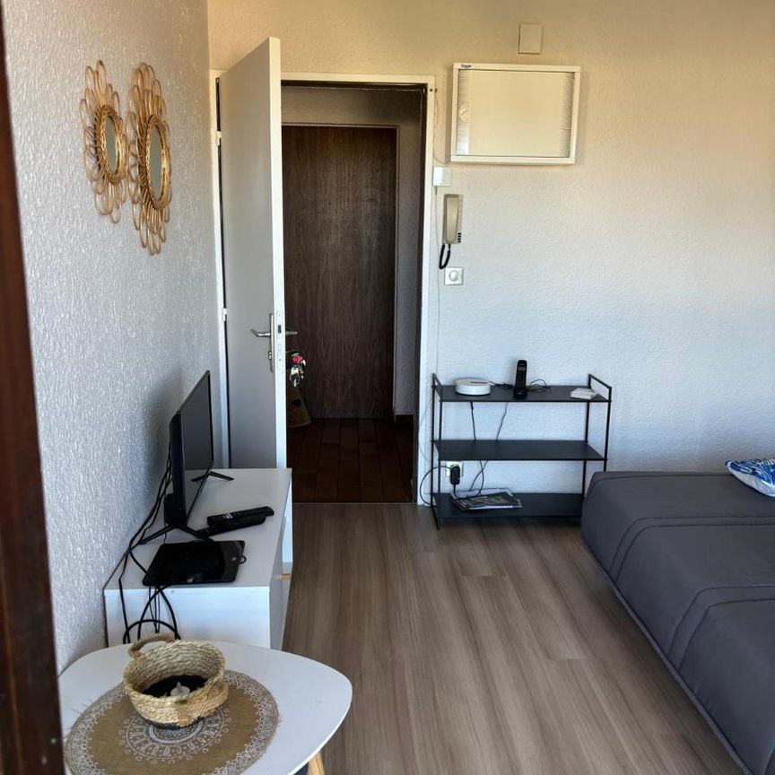 Location Appartement 1 pièce 18m² ROMANS SUR ISERE 26100 - Photo 1